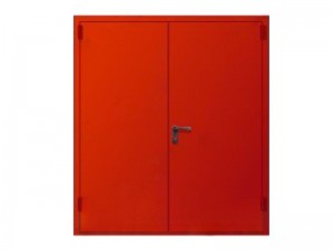 Дверь ДС-2 нестандартный  цвет